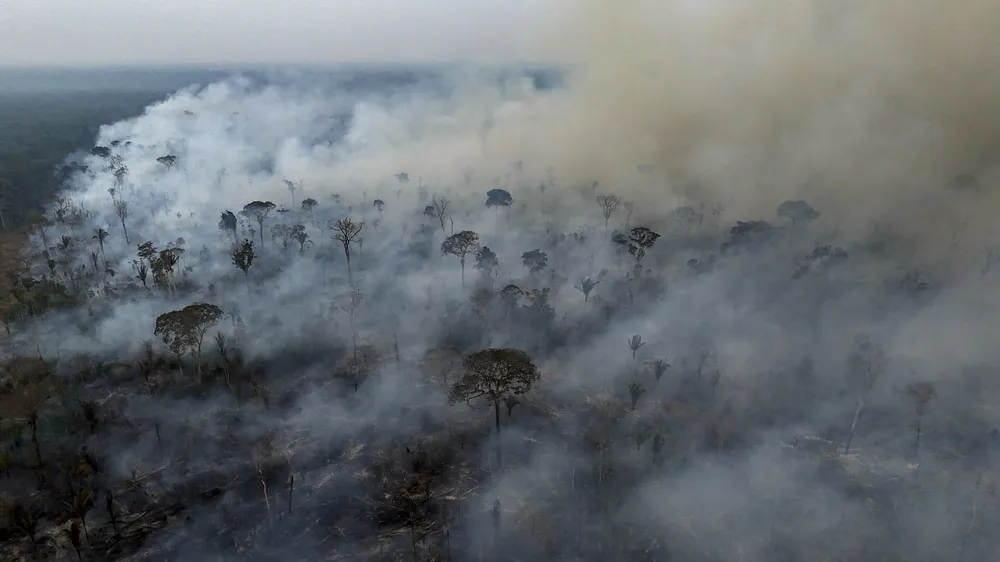 Quelle: Michael Dantas/AFP/Getty Images